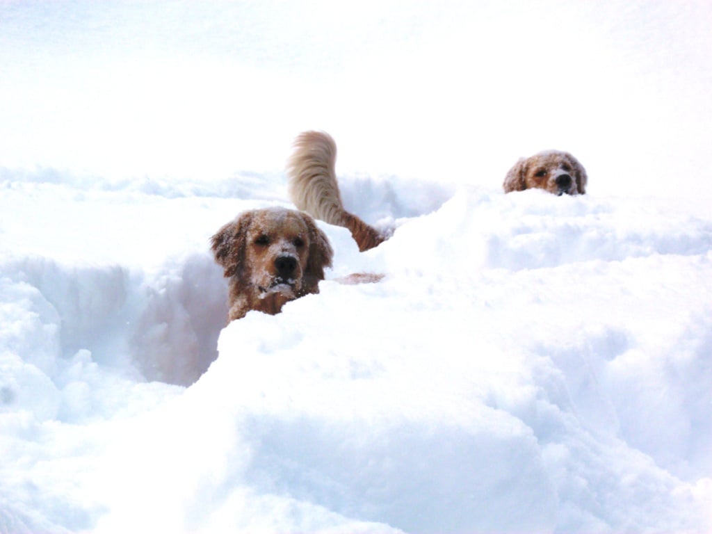 2022-02-01_15:28:54-Picture 007